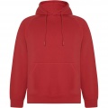 Vinson Kapuzenpullover Unisex, Rot