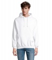 CONDOR Unisex Hoodie, Asche