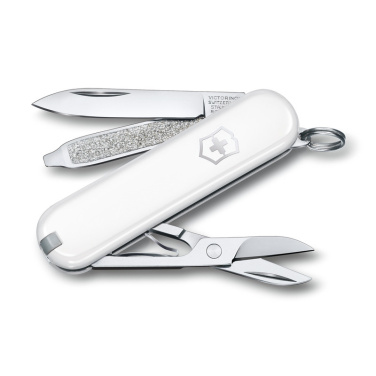 Logotrade Geschäftsgeschenke das Foto: Taschenmesser CLASSIC SD Victorinox