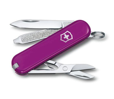 Logotrade Werbegeschenke das Foto: Taschenmesser CLASSIC SD Victorinox