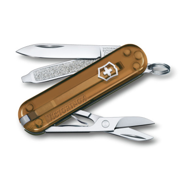 Logotrade Logogeschenke das Foto: Taschenmesser CLASSIC SD Victorinox