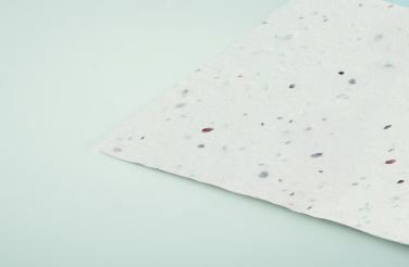 Logotrade Logogeschenke das Foto: Wildblumensamen-Visitenkarte.