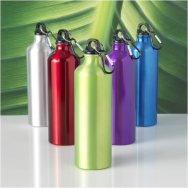 Logo trade promotional merchandise photo of: Oregon 770 ml aluminium water bottle with carabiner