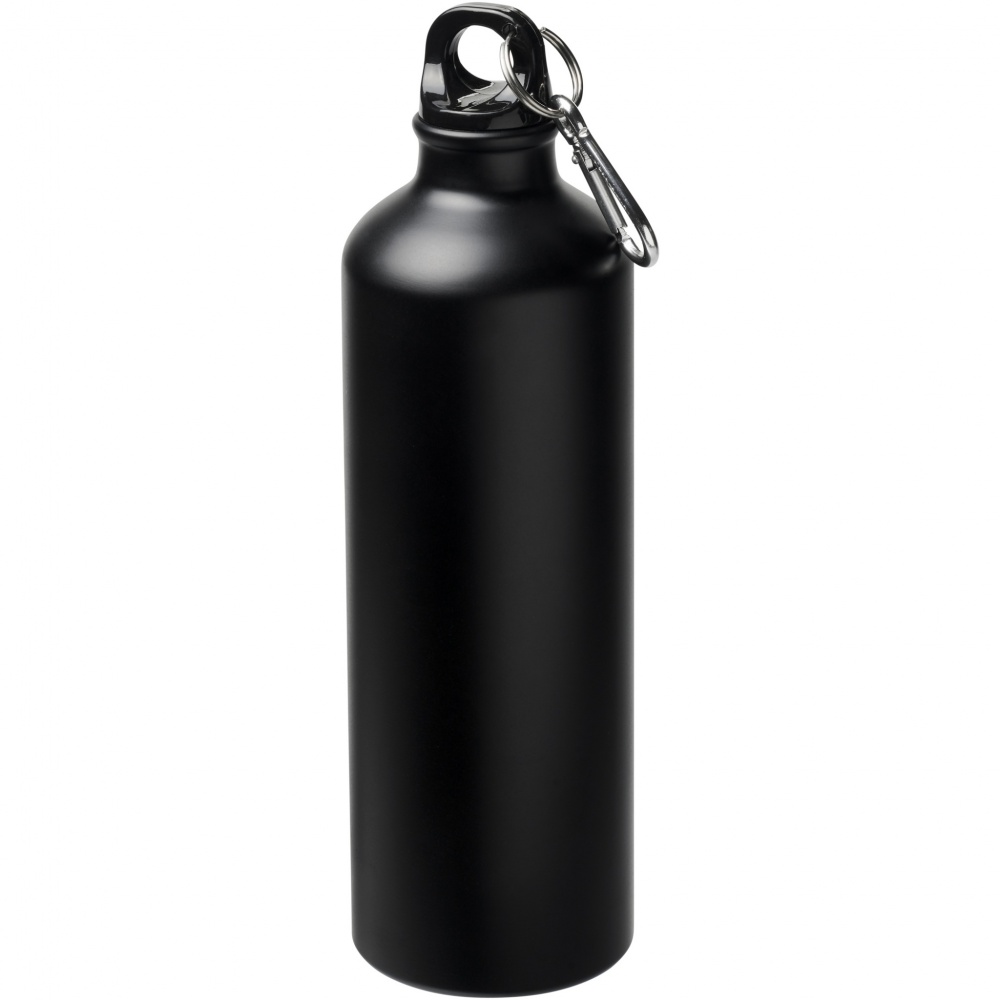 Logotrade advertising products photo of: Oregon 770 ml matte water bottle with carabiner