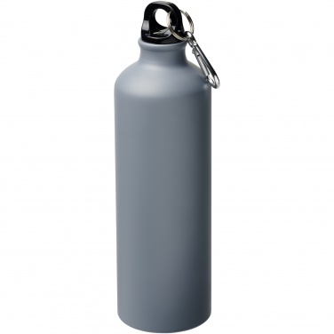 Logotrade promotional merchandise picture of: Oregon 770 ml matte water bottle with carabiner