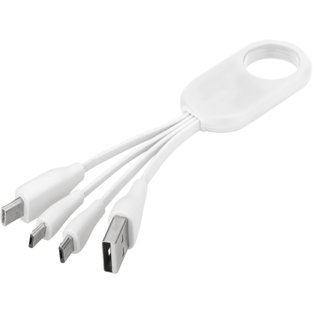 Logotrade promotional merchandise image of: Troup 4-in-1 charging cable with type-C tip