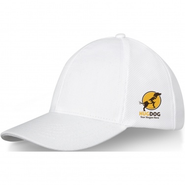 Logo trade promotional giveaways image of: Drake 6 panel trucker cap