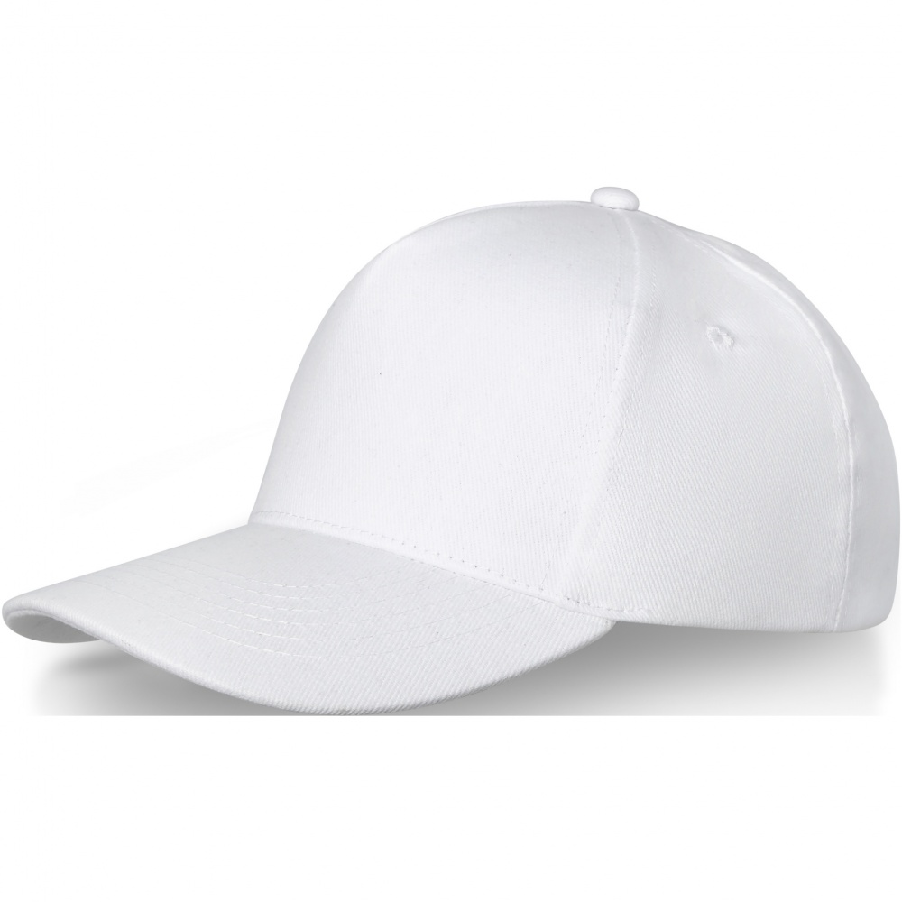 Logo trade business gifts image of: Doyle 5 panel cap