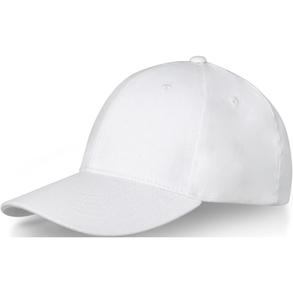 Logo trade promotional merchandise picture of: Davis 6 panel cap