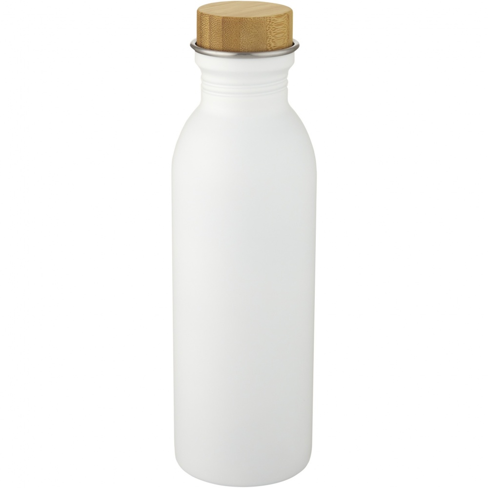 Logo trade corporate gifts picture of: Kalix 650 ml stainless steel water bottle