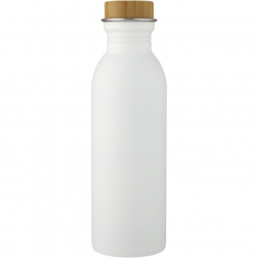 Logotrade promotional item picture of: Kalix 650 ml stainless steel water bottle