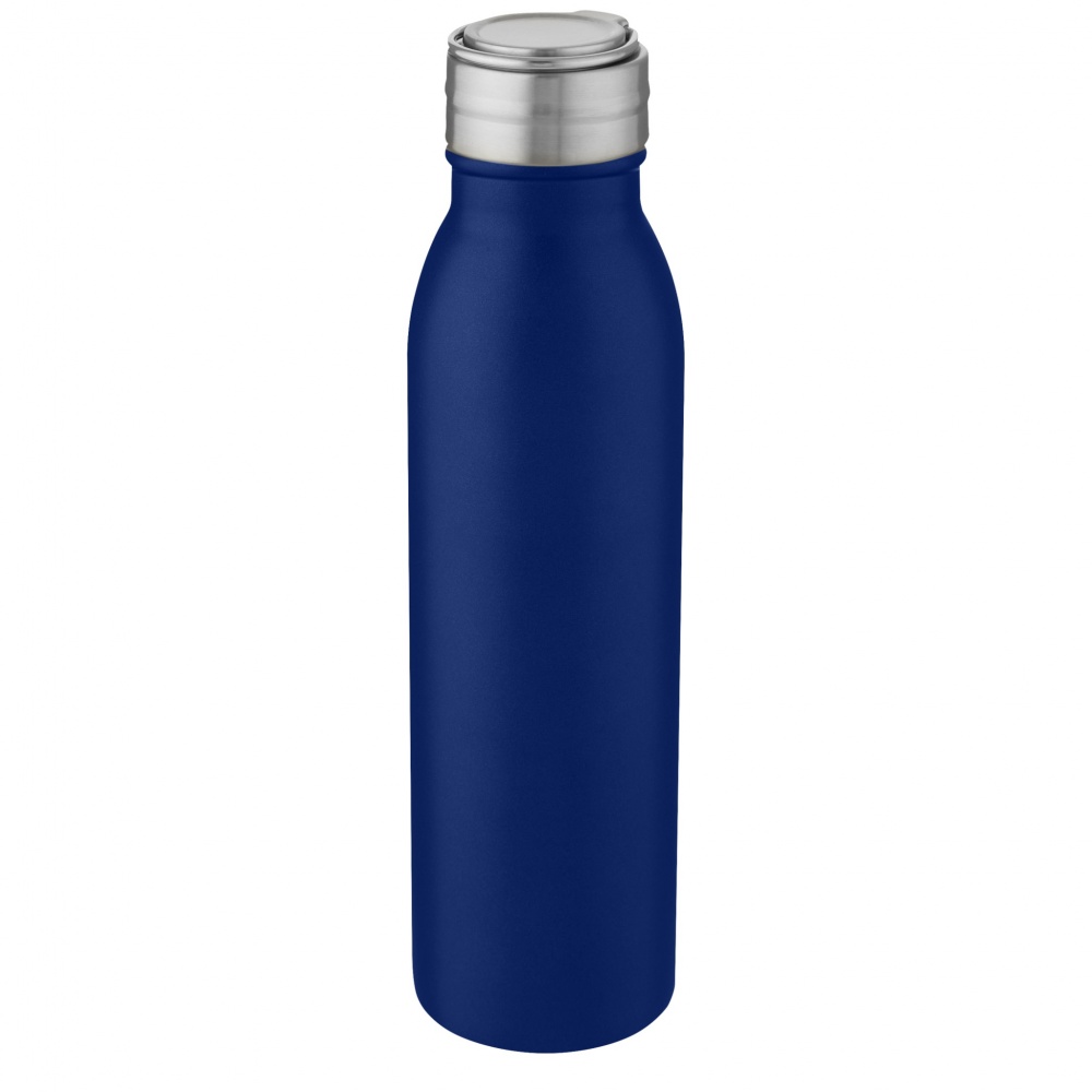 Logo trade promotional merchandise picture of: Harper 700 ml stainless steel water bottle with metal loop