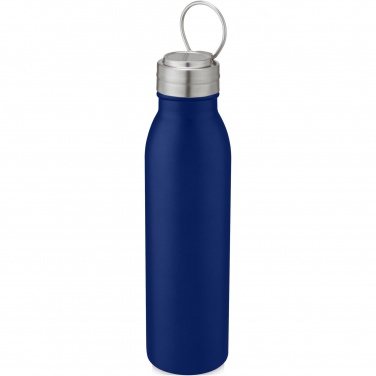 Logotrade promotional merchandise photo of: Harper 700 ml stainless steel water bottle with metal loop