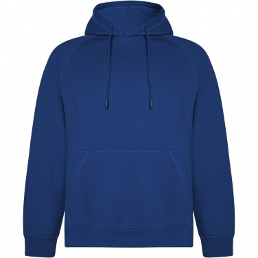 Logotrade promotional merchandise image of: Vinson unisex hoodie