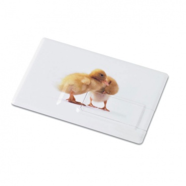 Logo trade promotional giveaways image of: Creditcard. USB flash 32GB