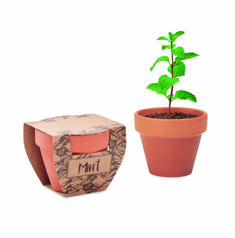 Logo trade corporate gift photo of: Terracotta pot mint seeds