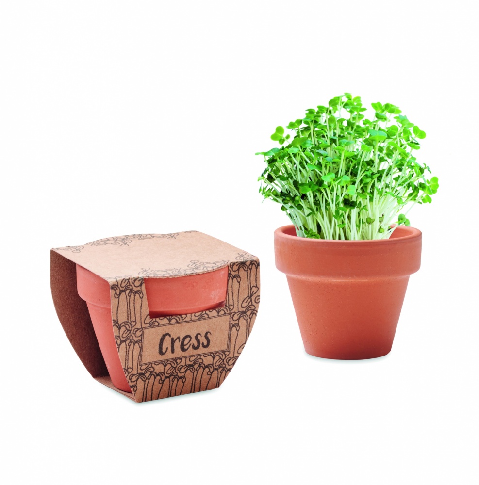 Logotrade business gifts photo of: Terracotta pot cress seeds