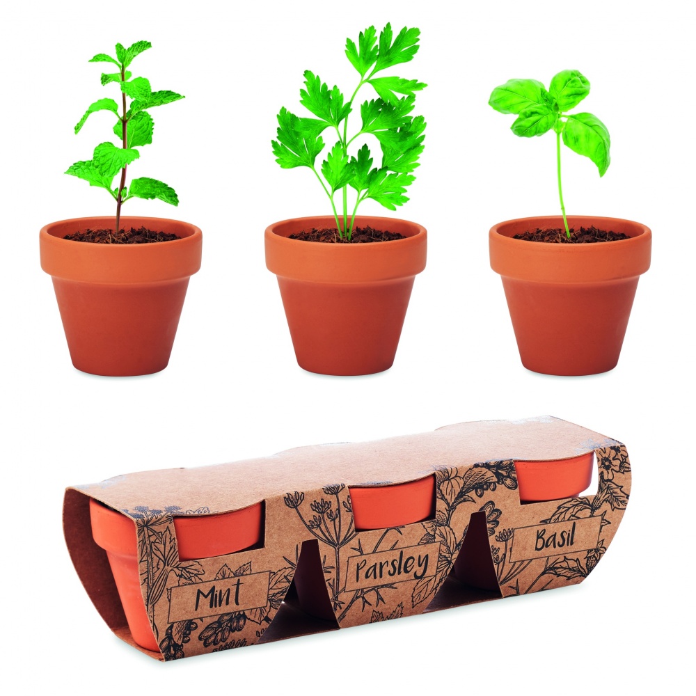 Logotrade promotional gift image of: Terracotta 3 herb pot set