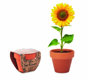 Logotrade promotional giveaways photo of: Terracotta pot 'sunflower'