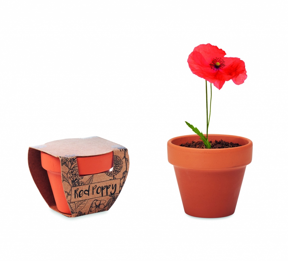 Logotrade advertising products photo of: Terracotta pot 'poppy'