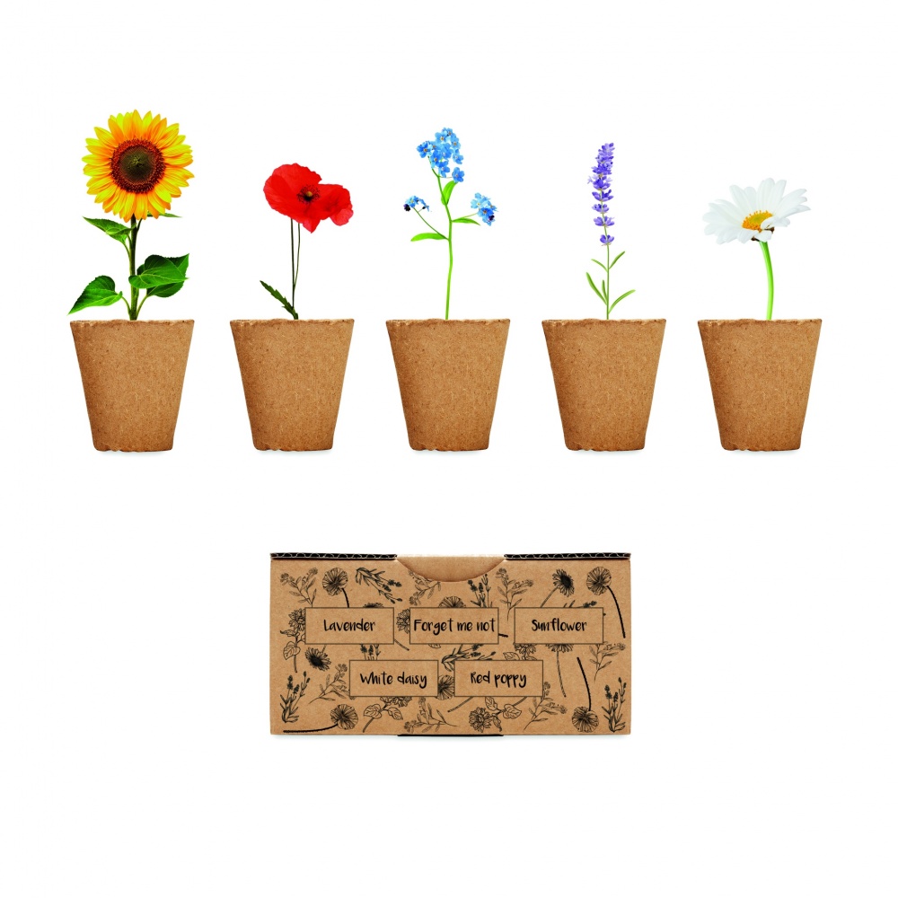 Logo trade promotional merchandise picture of: Flowers growing kit