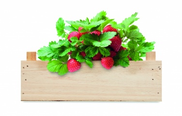 Logotrade promotional product picture of: Strawberry kit in wooden crate