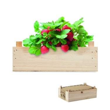 Logotrade promotional merchandise photo of: Strawberry kit in wooden crate