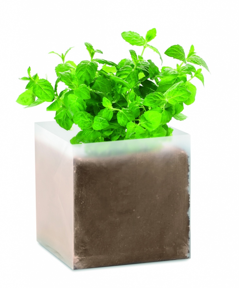 Logotrade business gifts photo of: Compost with seeds "MINT"