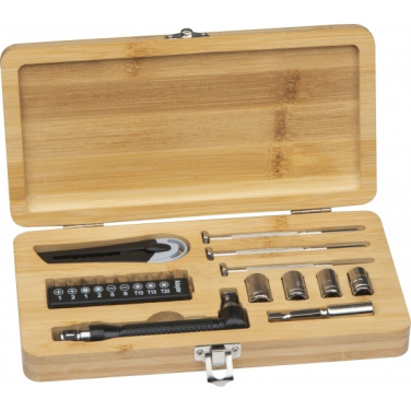 Logotrade corporate gift picture of: 22-piece tool set BERINGEN