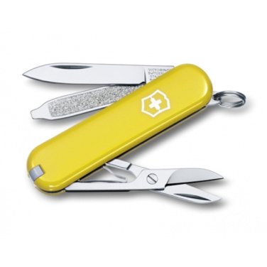 Logotrade promotional gift image of: Pocket knife CLASSIC SD Victorinox