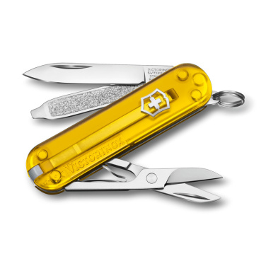 Logo trade business gift photo of: Pocket knife Classic SD transparent Victorinox