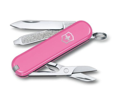 Logotrade promotional merchandise image of: Pocket knife CLASSIC SD Victorinox