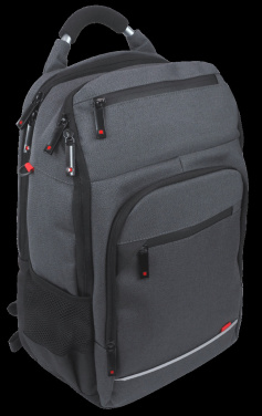 Logo trade promotional giveaway photo of: Laptop backpack 123815000