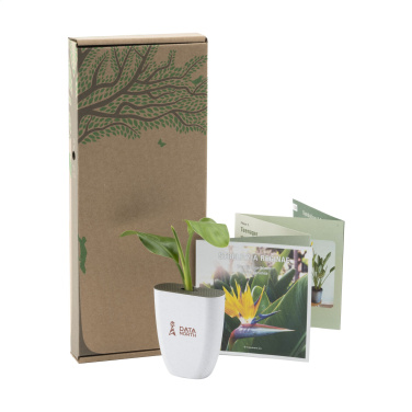 Logotrade corporate gifts photo of: Treemore Letterbox Trees Bird of Paradise plant