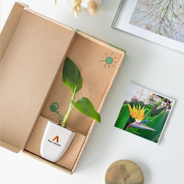 Logotrade promotional merchandise picture of: Treemore Letterbox Trees Bird of Paradise plant