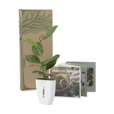 Logotrade promotional item image of: Treemore Letterbox Trees Tea plant