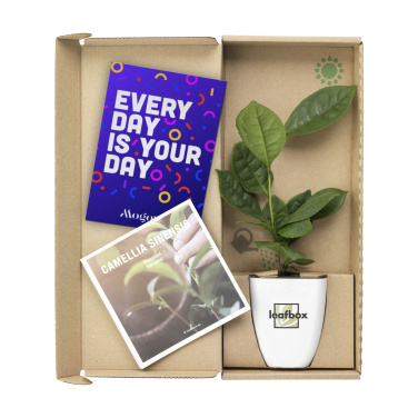 Logotrade promotional item picture of: Treemore Letterbox Trees Tea plant