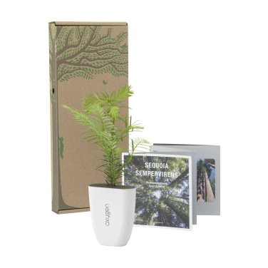 Logotrade corporate gift picture of: Treemore Letterbox Trees Giant Sequoia