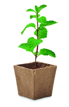 Logo trade advertising products picture of: Mint seeds growing kit