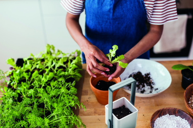 Logotrade promotional gifts photo of: Indoor garden with LED light