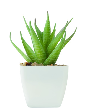Logotrade promotional gift image of: Mini artificial plant