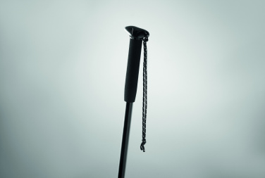 Logo trade promotional merchandise picture of: Telescopic walking pole