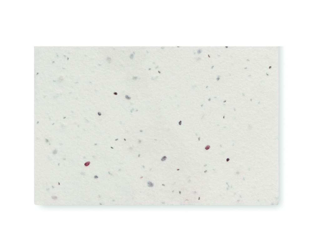 Logo trade corporate gift photo of: Wildflower seed business card.