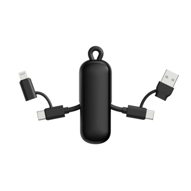 Logo trade promotional gifts picture of: Urban Vitamin Dublin 100W 4 -in-1 keychain cable