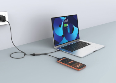 Logotrade promotional merchandise image of: Terra 100W RCS Dual USB C output cable