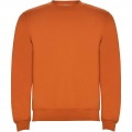 Clasica unisex crewneck kampsun, Oranž