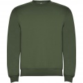 Clasica unisex crewneck kampsun, Venture Green