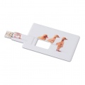 Krediitkaart. USB-välkmälu 32GB, Valge