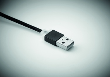 Logotrade meened pilt: USB-tüüpi C-kaabliga võtmehoidja