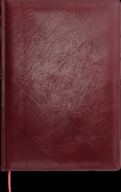 Logo trade firmakingitused foto: Kalendermärkmik 645131